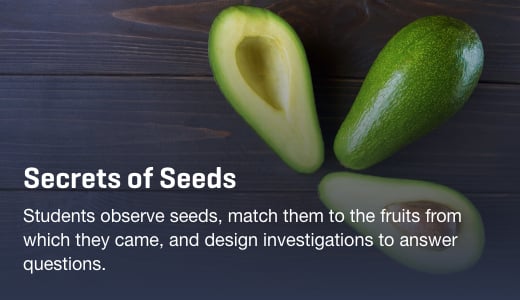 Secrets of Seeds