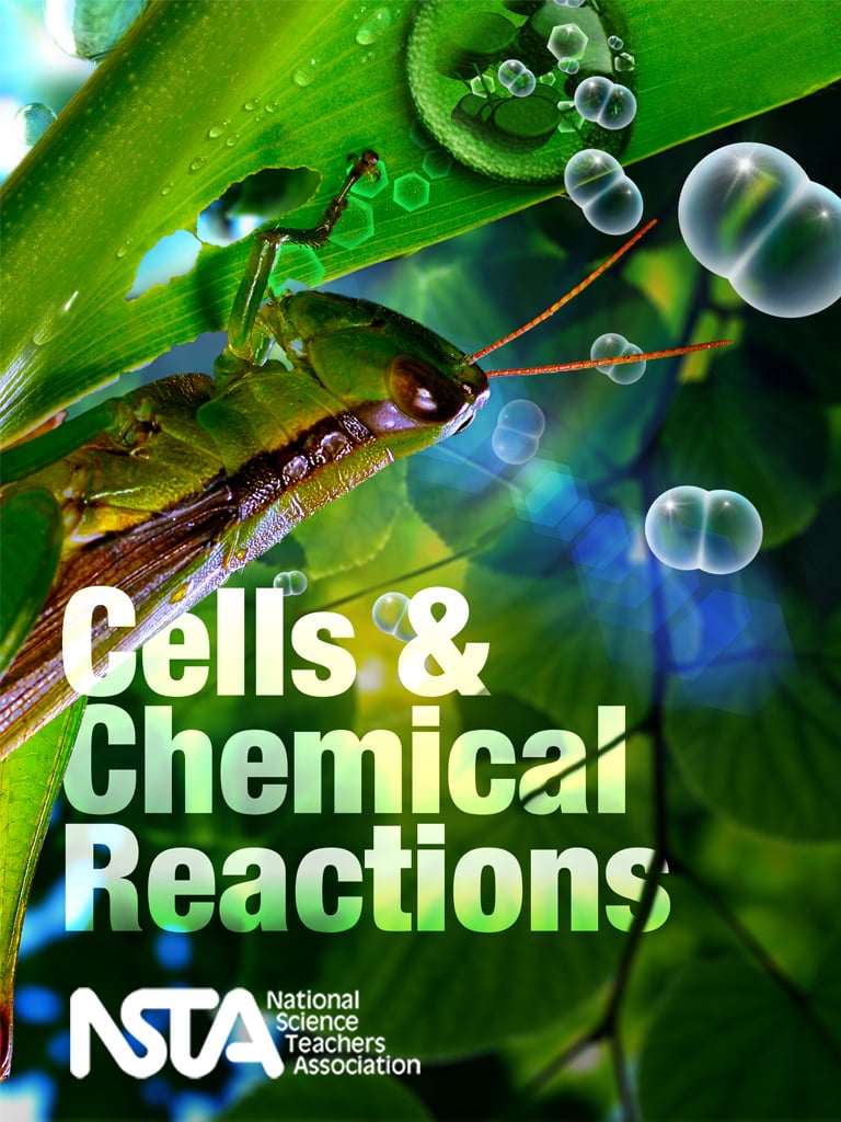 Cells and Chemical Reactions