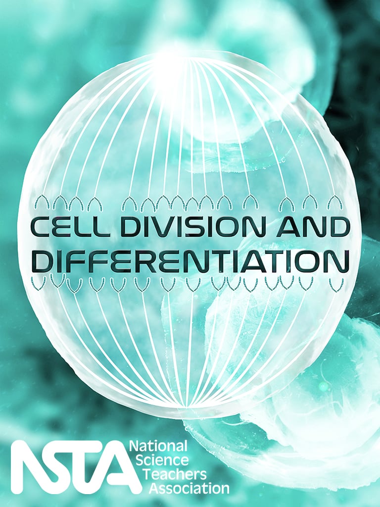 Cell Division and Differentiation