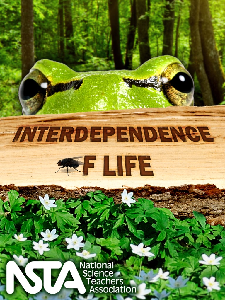 Interdependence of Life