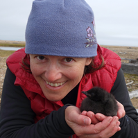 Katie Morrison